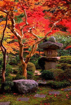 Fa-120.JPG (59404 byte)