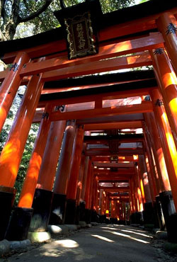 Fa-122.JPG (43782 byte)