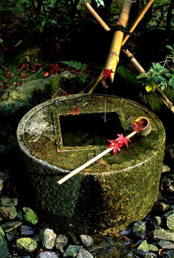 Fa-130.JPG (48942 byte)