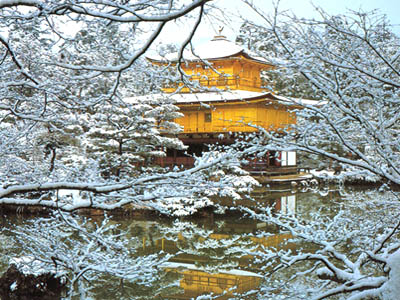 Fa-91.JPG (67170 byte)