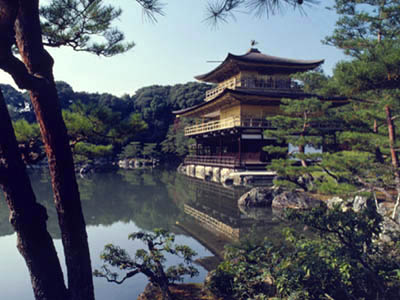 Fa-92.JPG (38289 byte)