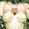 artx-shirow6 copy.JPG (9594 byte)