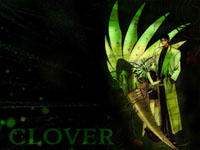 desk-clover3 copy.JPG (13233 byte)