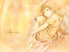 desk-haibanerenmei1 copy.JPG (5659 byte)