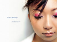 model-kaoriwall2 copy.JPG (8932 byte)