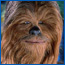 Chewbacca