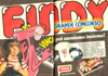 special-findy2.JPG (12027 byte)